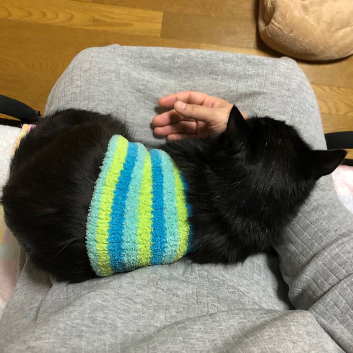 76a3d8b2 b4c5 4803 a733 82d340228c02 1587218621528