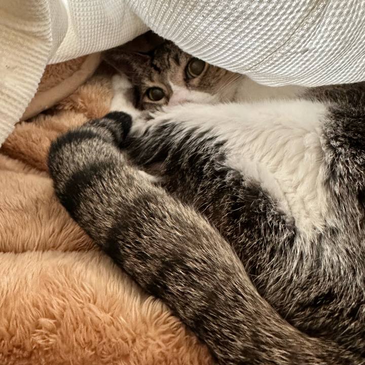 76a3d963 c996 4496 bde8 34da3a20832c 1668307359870