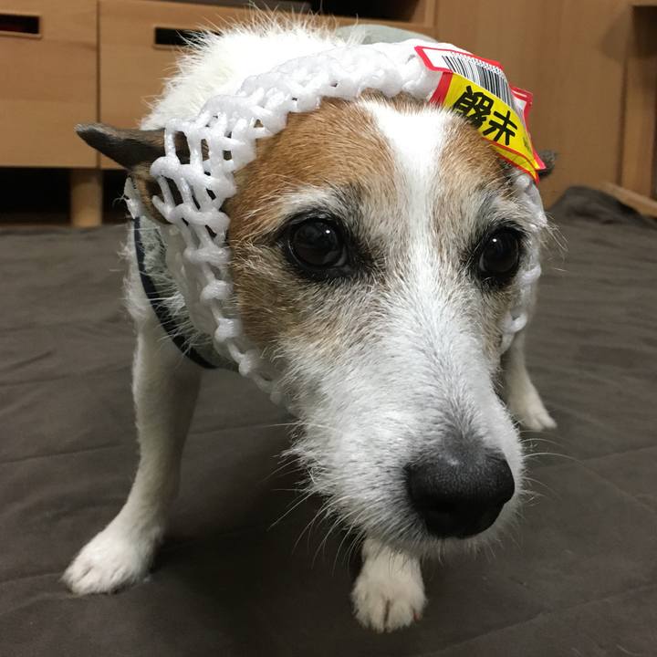 76a40124 3da9 4726 8336 2795d8e8a8e8 1637105133281