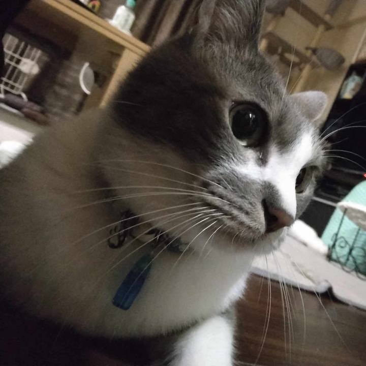 76a409f1 8d0c 4d8c 896a 6ab6b2ef82bd 1692882182873