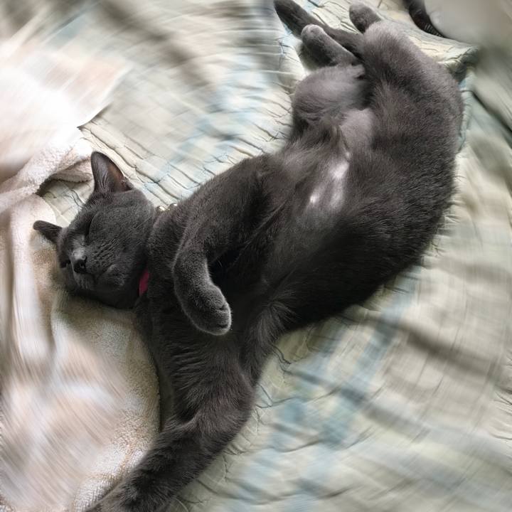 76a422f0 aa40 4d34 b6cb 292099def6f3 1529648336409