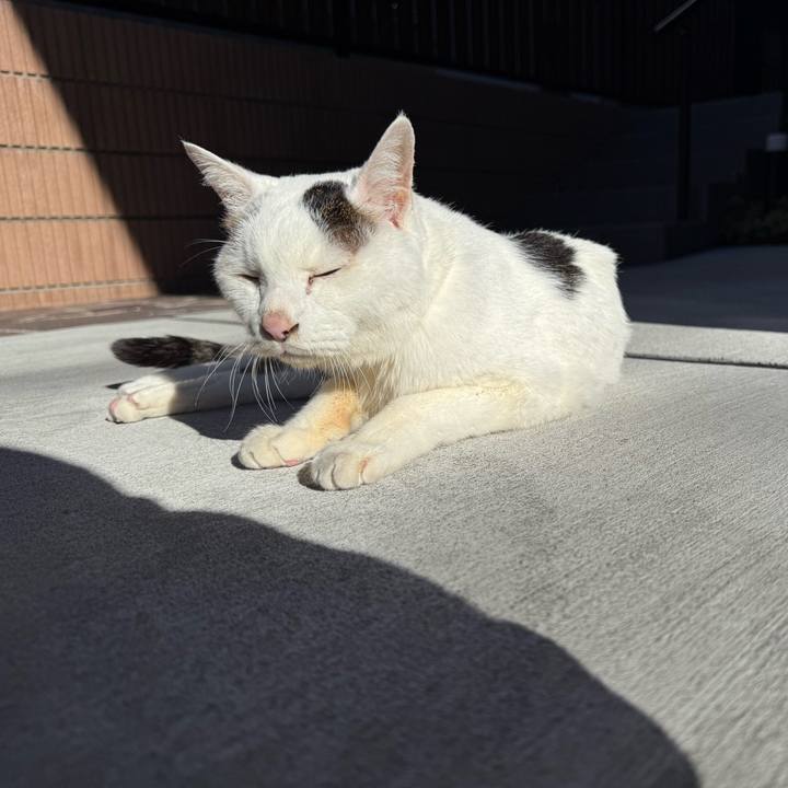 76a449f7 9aba 45c4 8cda d657f2cdface 1764822216440