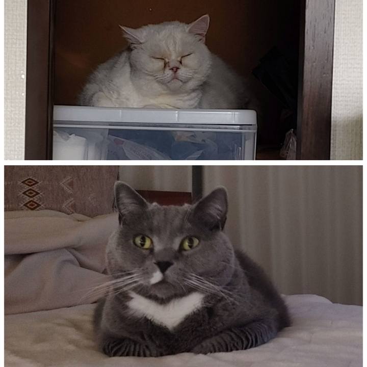 76a44fee e738 4f4e 8625 b907a7ea295c 1683451761172