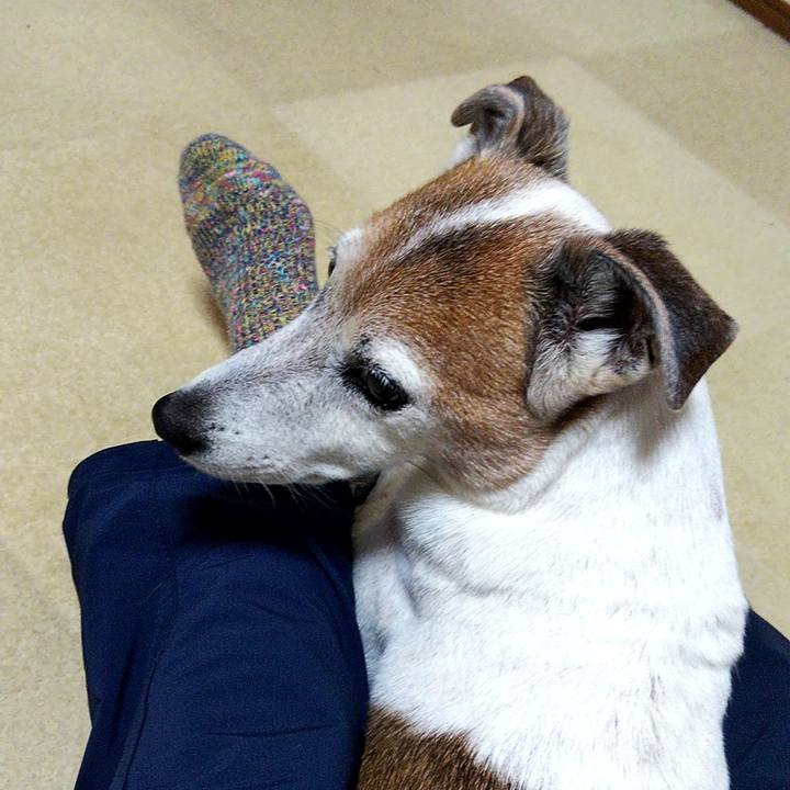 76a47776 09fa 47a0 a124 8976661c365c 1574583393065