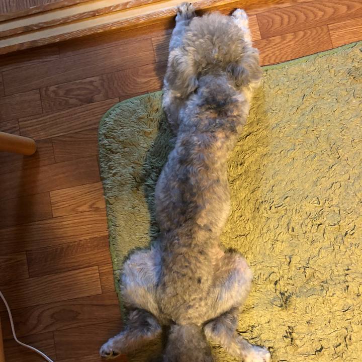 76a4a1a3 9ed9 4ce9 bfa5 cc40d433e4f1 1530065048519