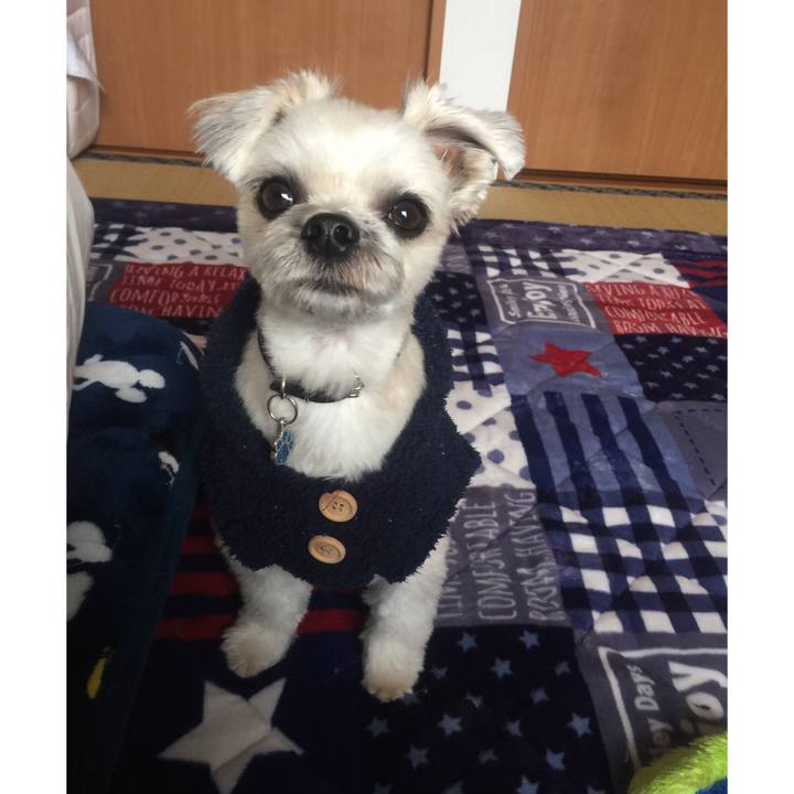 76a4b16f 8272 4e20 a97c 98cbe63e51fe 1543800134796