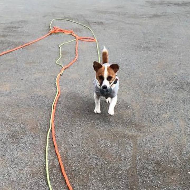 76a4c757 ae07 4e45 ade7 d297a8288862 1711151725408