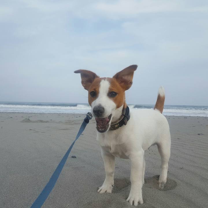 76a514bb 51a0 446f 86c0 861d66d020d8 1555588454740