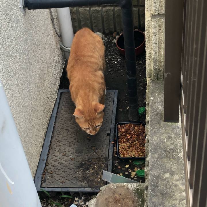 76a5447e 4bf7 4137 830e 839aa4f5c1d4 1568468676109