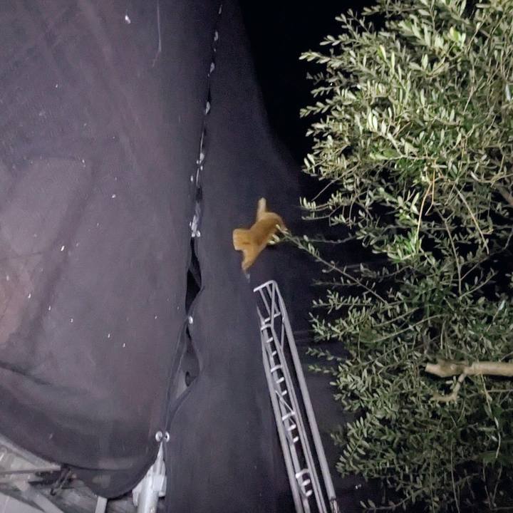 76a59c6c cdcf 4d61 be68 940721feba87 1770982813415