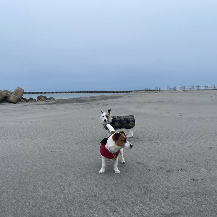 76a5a795 03e4 4d40 bf6f 49af2697e383 1710199541813