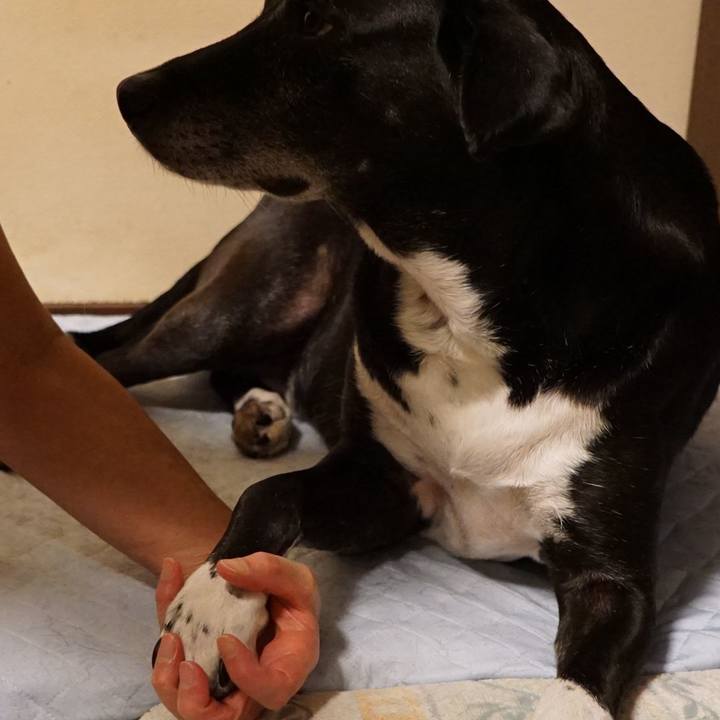 76a5b942 5ed1 4bca 9bf6 fd90002d4968 1757415194749