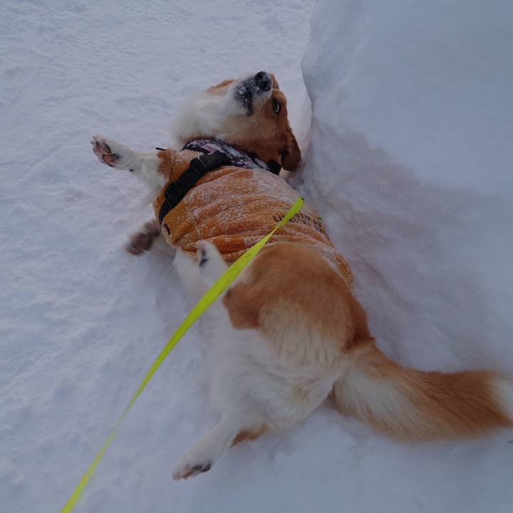 76a6006e bfda 4bc2 85a8 9e12d7f7ade8 1770075942992