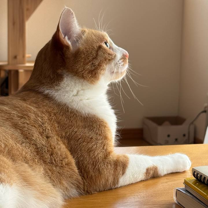 76a62182 baa8 433f 9ba9 b40b73713c41 1761272947264