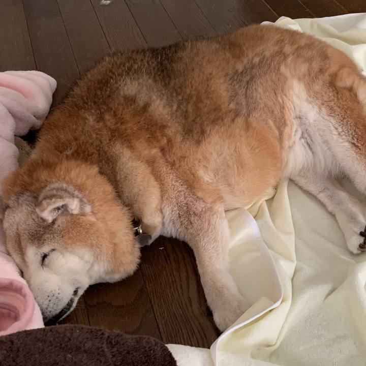 76a62b79 641d 4231 97b0 39951a3b51aa 1688424838718