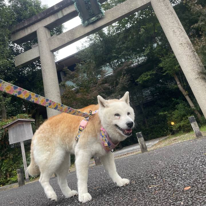 76a67fe5 fa7e 48d0 9faa 77c5cadaf445 1731788074617