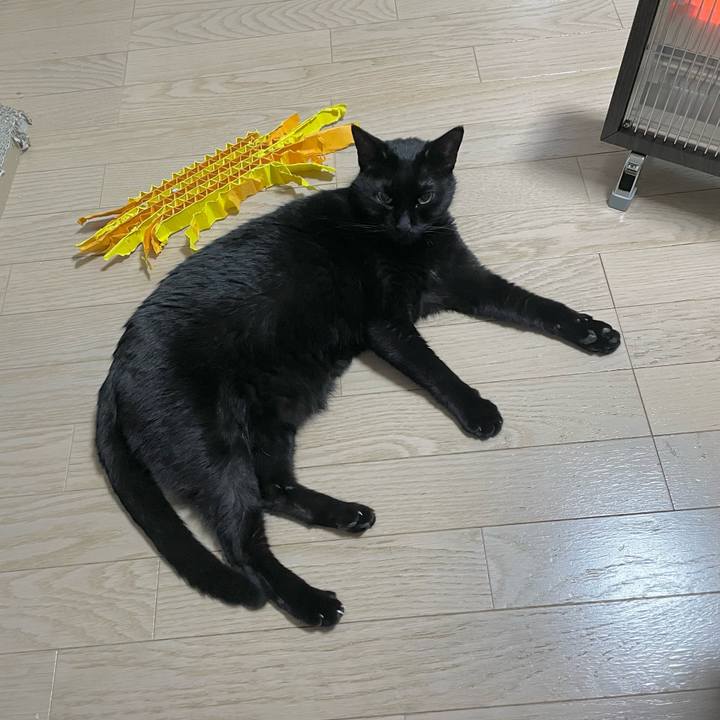 76a6918b 1824 47df 9d38 a6d8288da460 1709294402793