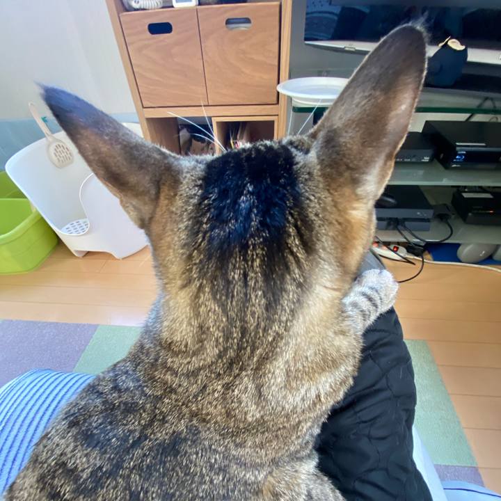 76a6b2b5 31ae 4a42 9b82 ef9a4d41732e 1676063732164