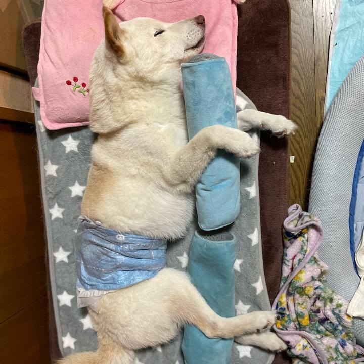 76a6b8d0 0e6c 41ba 9eb9 534af505adbd 1646409329705