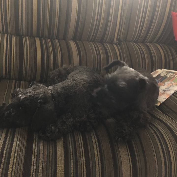 76a6bf42 03ed 42e3 af6b 8ed00c4308db 1559371028430