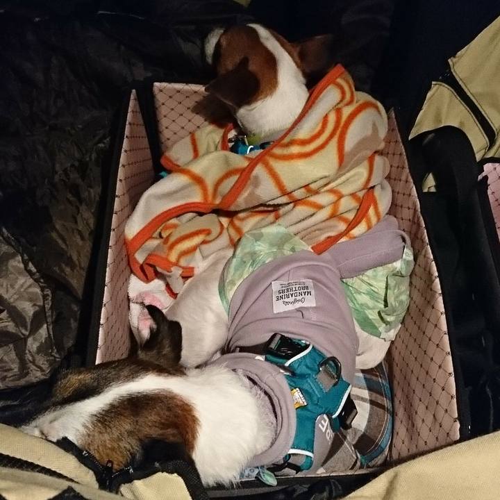 76a70abd a101 4570 b1cb e93579c06c21 1556543086638