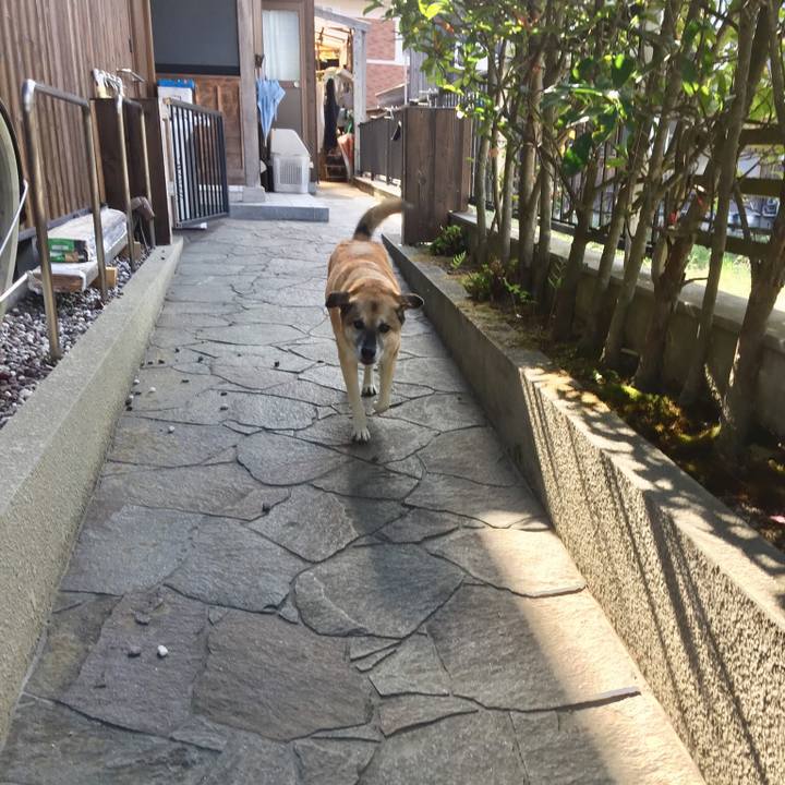 76a7123d f052 45a5 b159 504350f49a0a 1535269002730