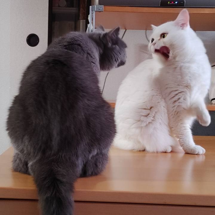 76a71e2f 9e01 4526 8c8a 4317d1786bc9 1669414276061