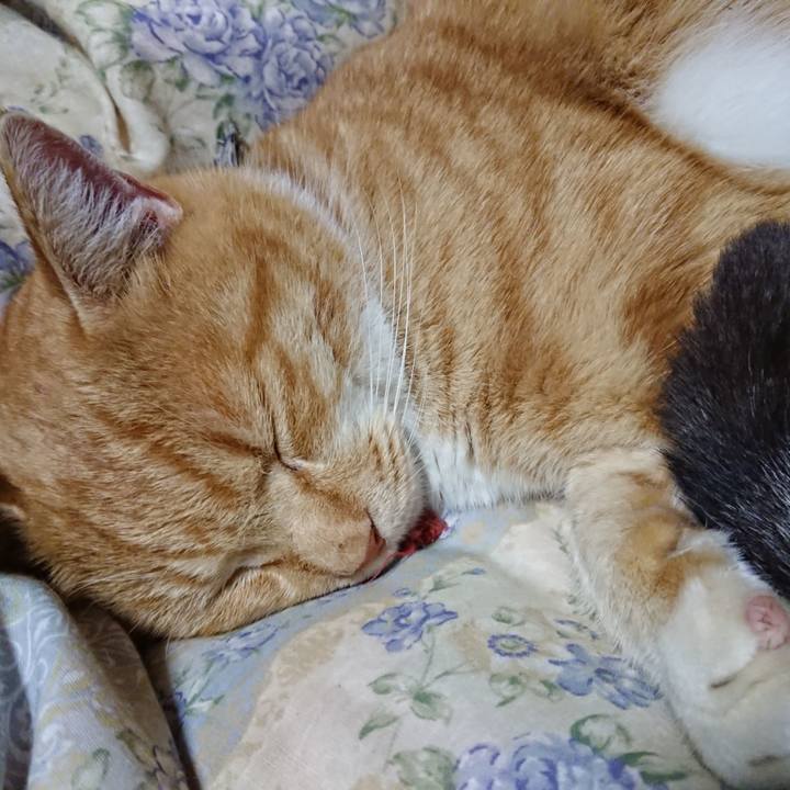 76a75893 869b 44a3 8817 4293e855a22d 1575724422209