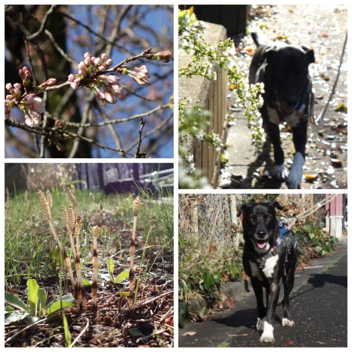 76a769f6 948c 4c00 8198 f3c3b6f951e1 1647738270784