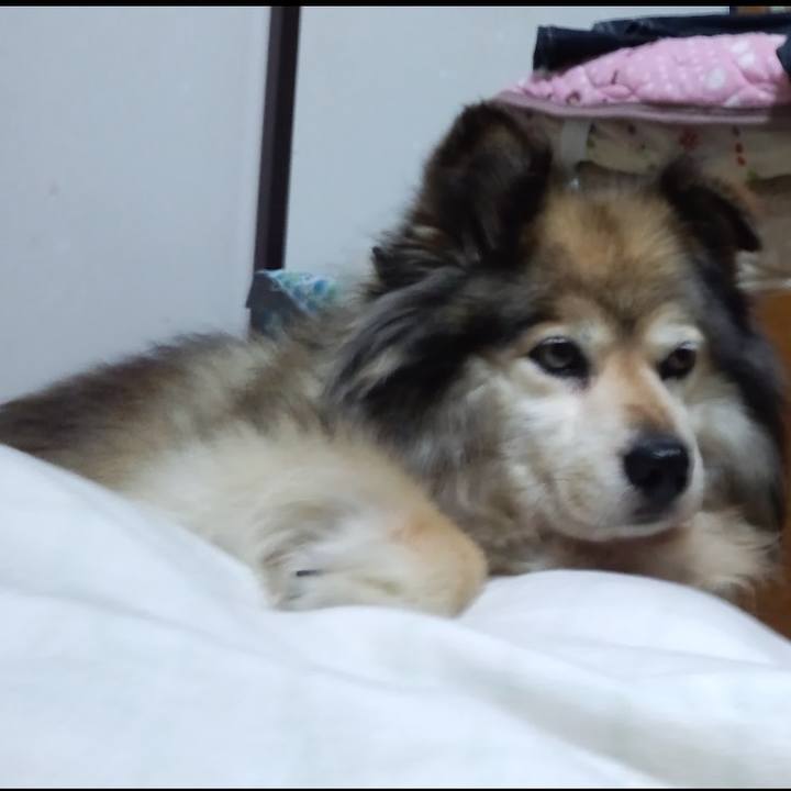 76a77eb3 eaf6 43ee 91de 35ca583eea87 1604664725398