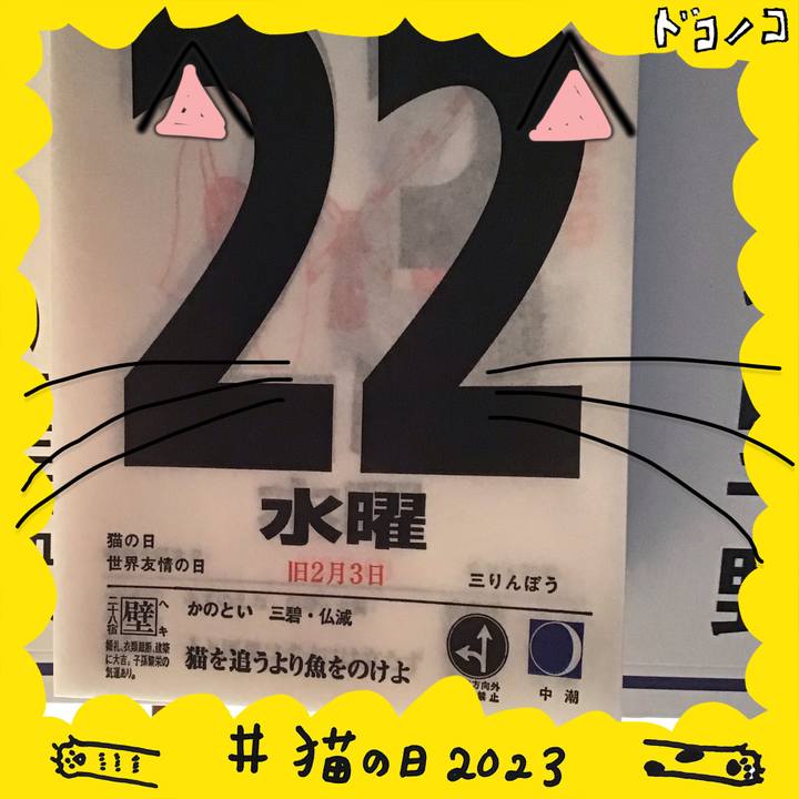 76a792b0 830a 4f2f 9300 0eed70813826 1677057733628