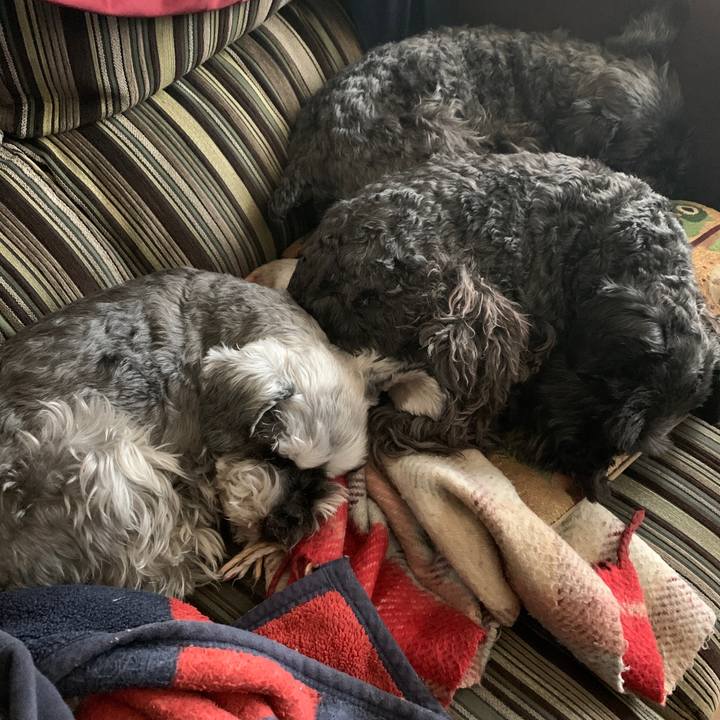 76a7f65e 2947 40b9 aec0 4ae338c9a159 1615424612401