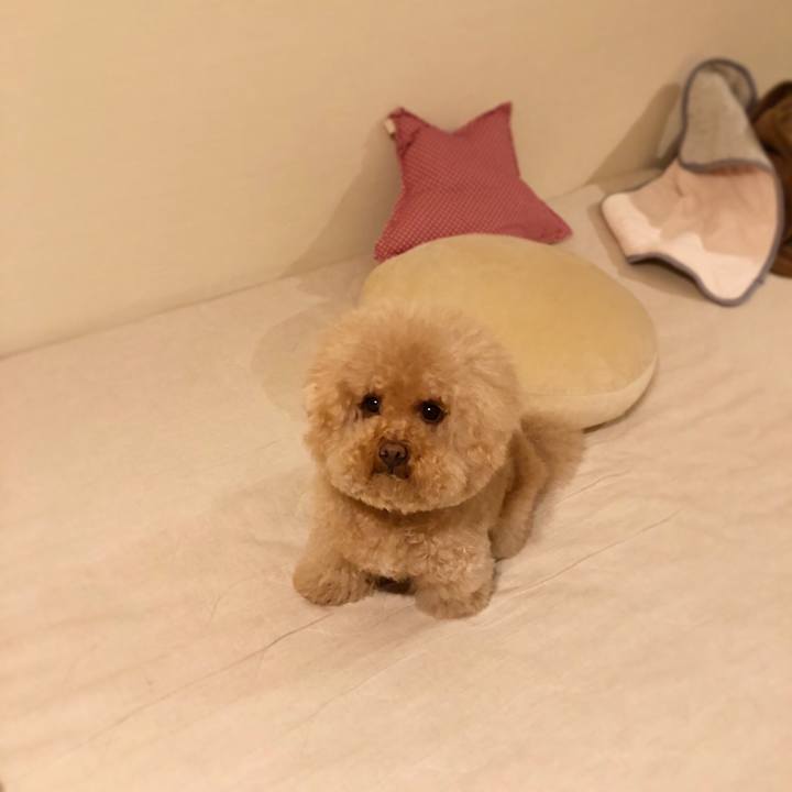 76a8055c 684e 4986 8337 d188e6aeb266 1525697877562