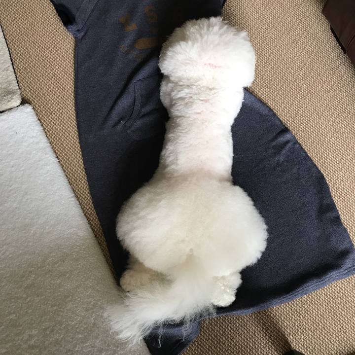 76a8965c bc69 44ea 9fb5 43b38e8b10de 1536366473366