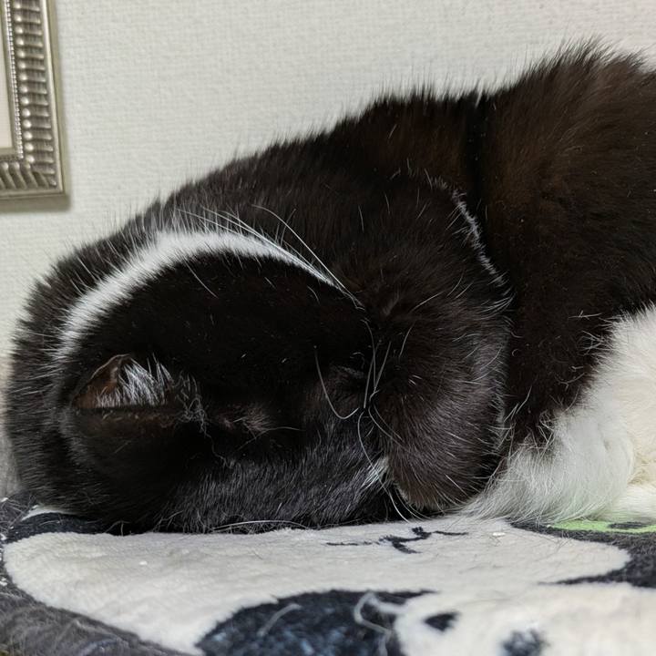 76a8ff86 d118 46b5 83ba 0958ff3e76c2 1765534295331