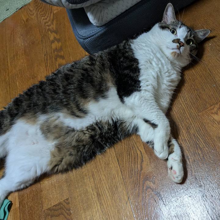 76a909a7 d227 4351 b4f8 1f8d0d634222 1721948076386