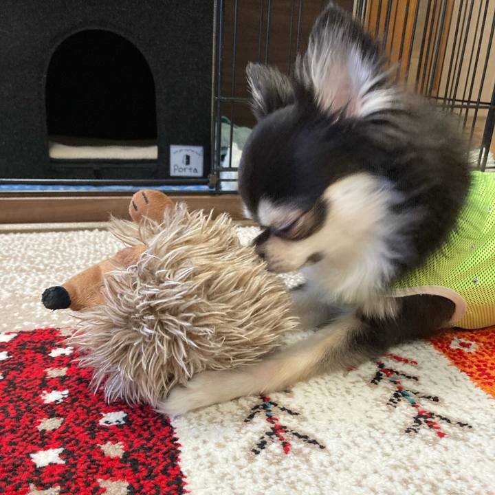 76a94d4e d6c0 456a 891f 5f6d6f3489bd 1695047905253