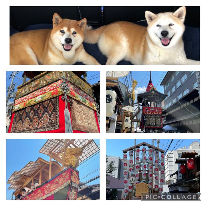 76a9551f 3059 4e3e a64e 7a10fdda001b 1626823857458