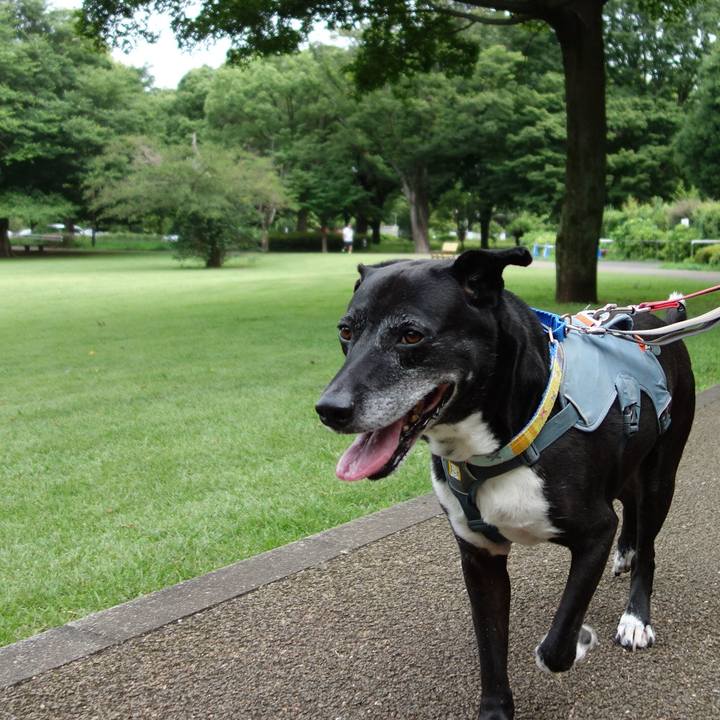 76a99ac0 f239 446c 9c9a ac04dd3d3535 1752364130205