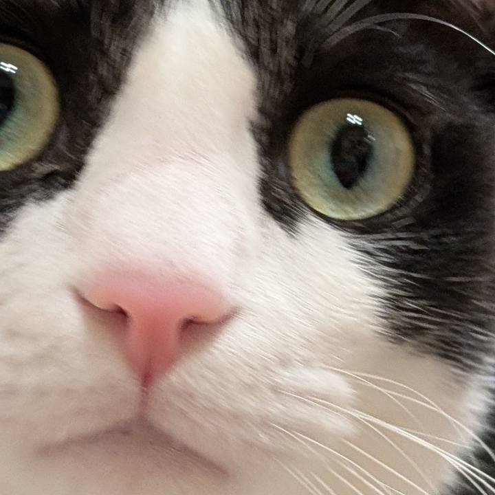 76a9bae5 2269 430e 86a9 e9d5455f4d9c 1762514800252