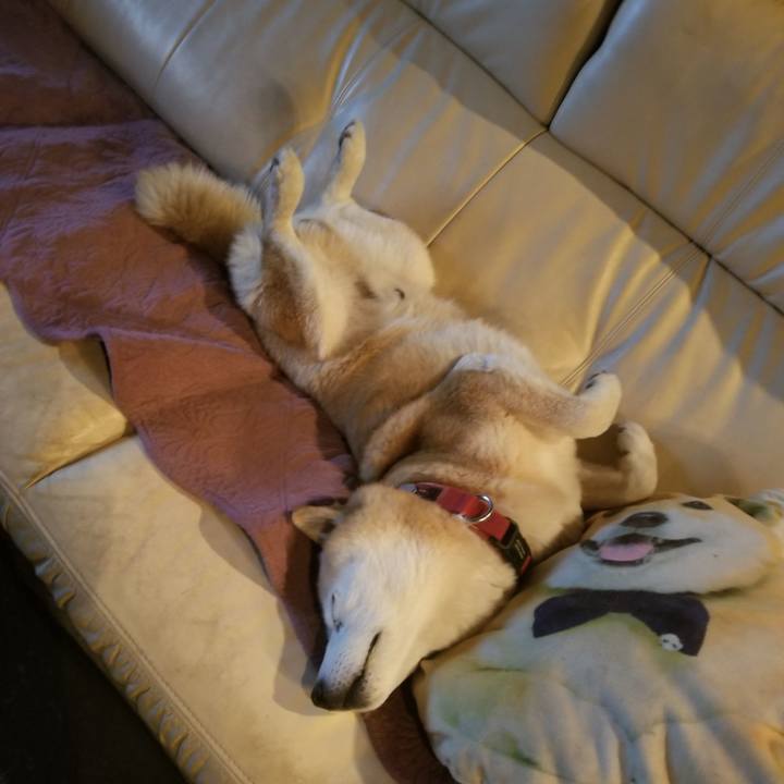 76a9ca74 9291 4679 b101 c238079a5394 1741694887523