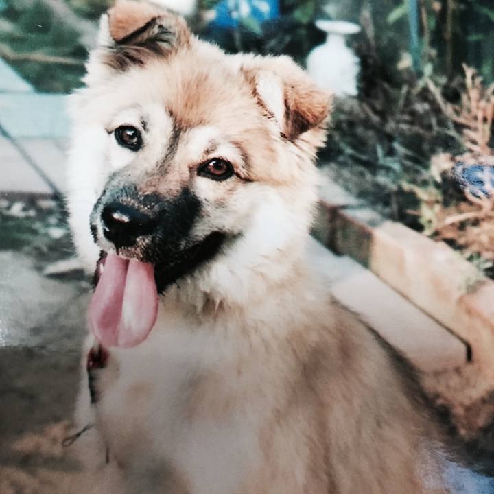 76a9e49f 390f 4f38 9324 da65604664a9 1564033581333