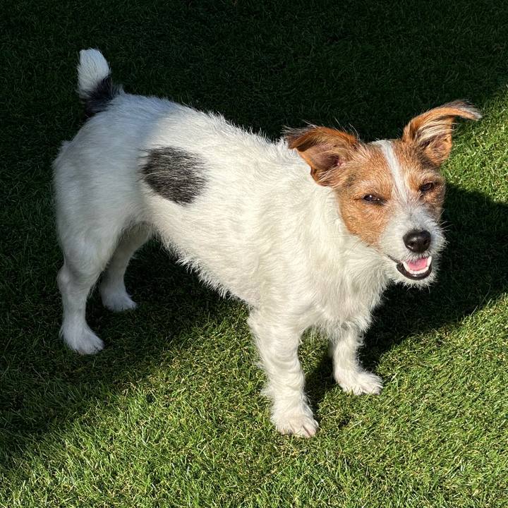 76aa3080 9d40 4146 90d4 bff0640c33e3 1764462436212