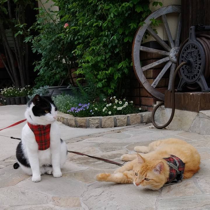 76aa6fc3 f42b 4f1c b055 6a110b11fae4 1589002931651