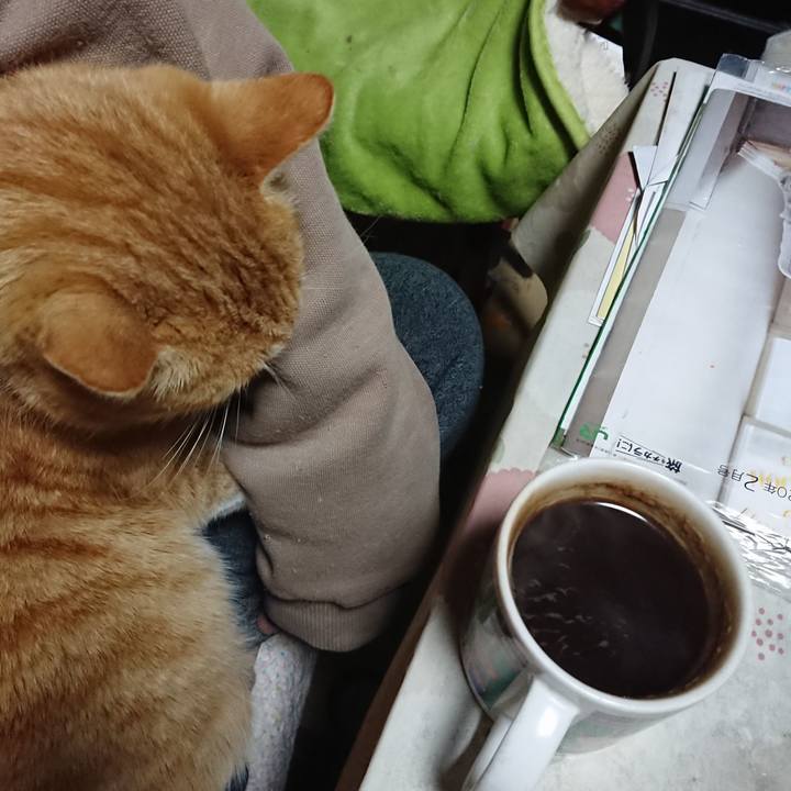 76aaae73 89ce 4f96 9231 7749b8023fab 1583351781880