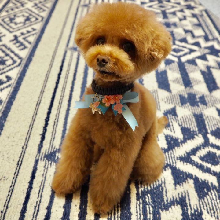 76aad74a 2e1d 4abd 81ad 856b4f190a94 1520770345737