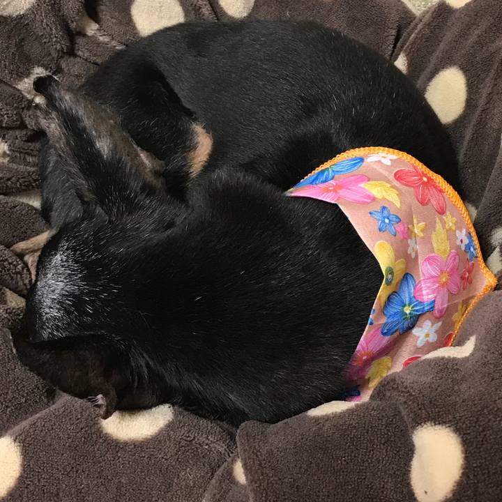 76aaef6b 2636 440a ad79 8e8189e70693 1518260853914