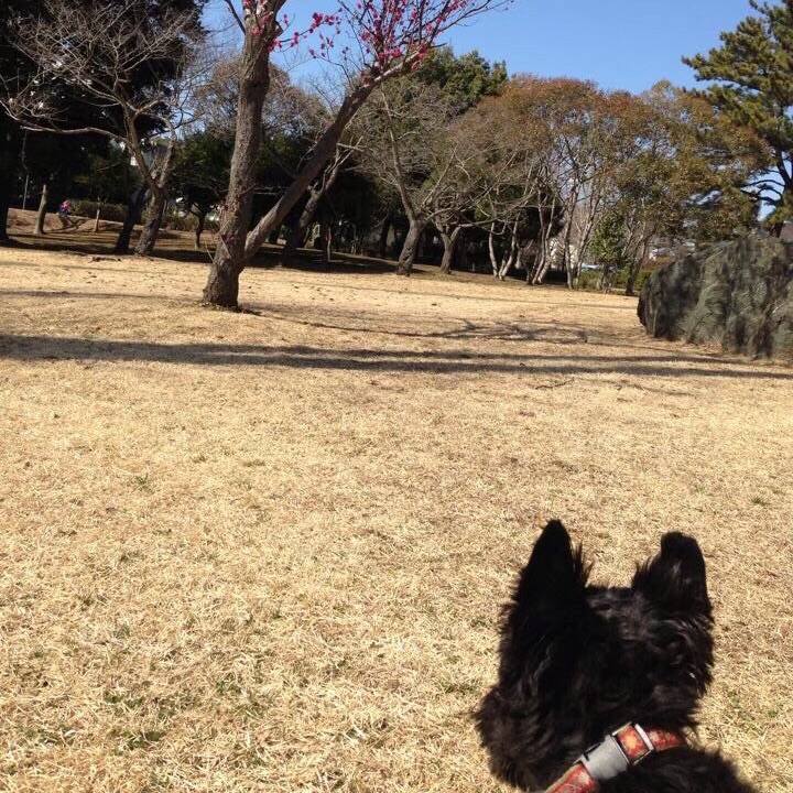 76aaf3e2 a3ed 4b47 86c2 271db3bb78b8 1604040434682