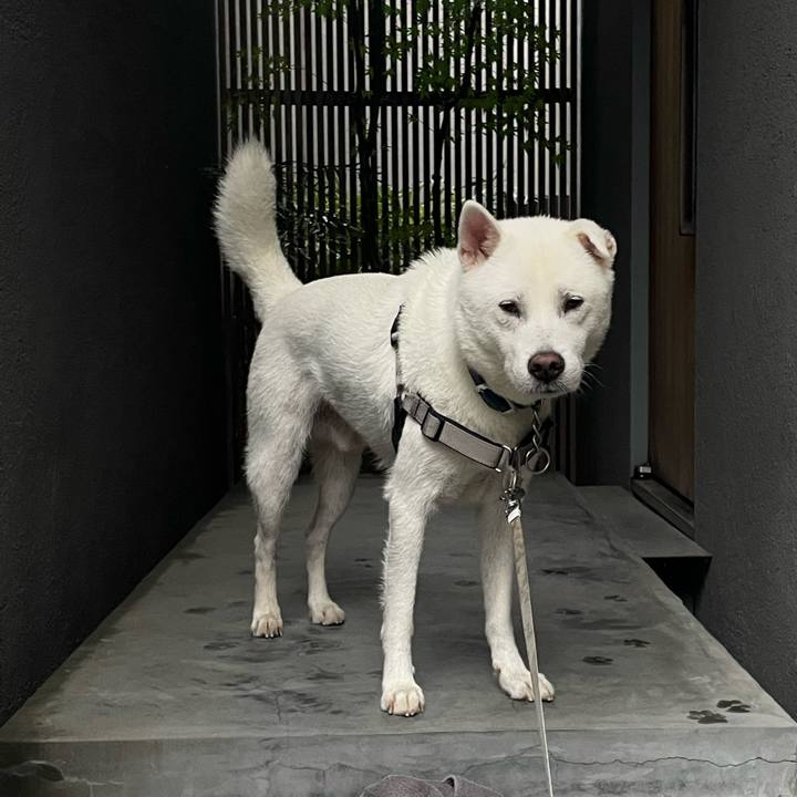 76ab3644 0c6c 4cf7 b41a 0b75a03e1fbd 1758590288277