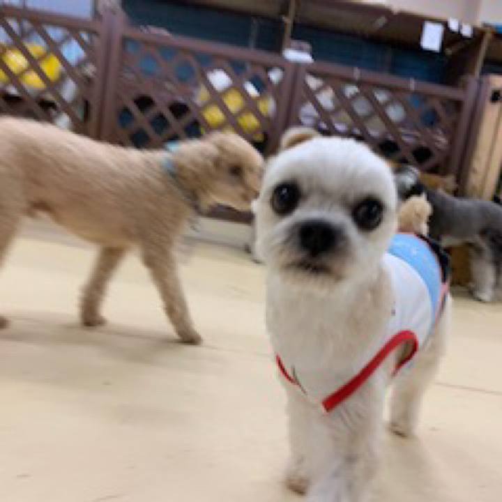 76ab3cf9 7f06 4132 a6b6 55281c87366a 1571139842106